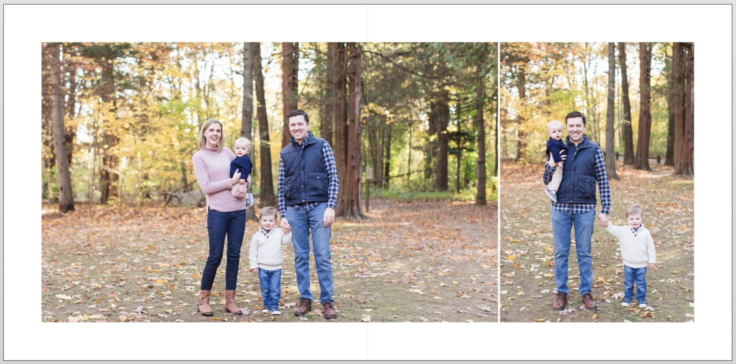 Example of a spread with 2 images, with 1 image across the middle seam