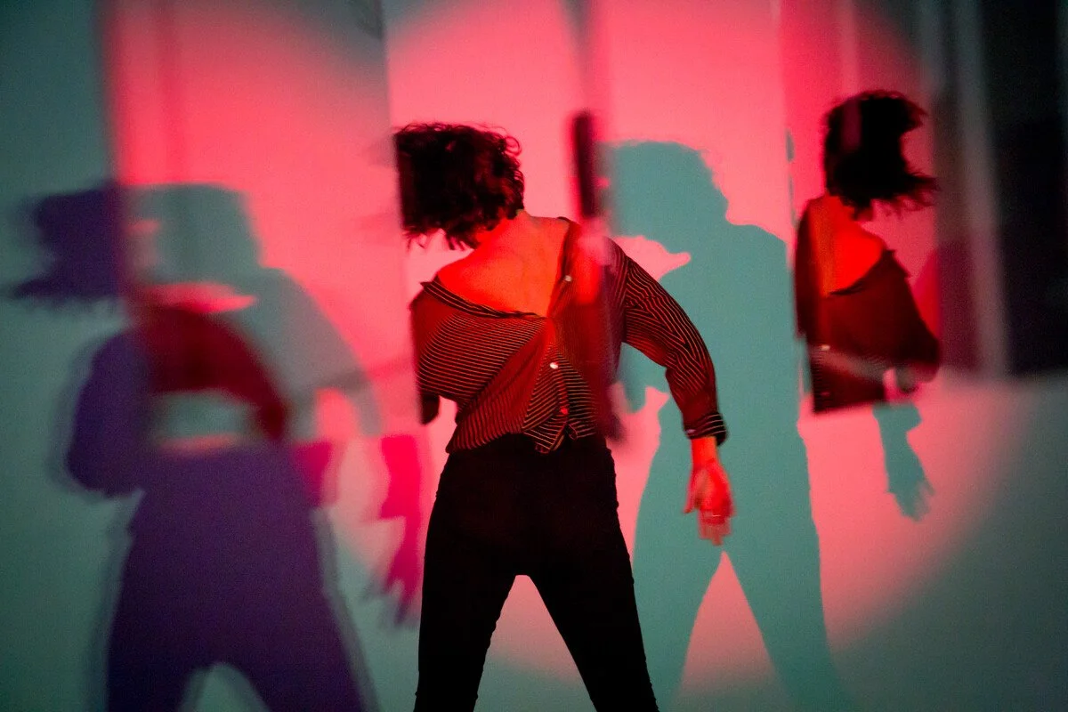 First Thursday, April 2017, Zoja Smutny with Victoria Cheong: Rose Porn. Photo © AGO