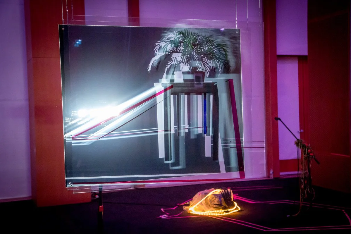 First Thursday, April 2017, Zoja Smutny with Victoria Cheong: Rose Porn. Photo © AGO