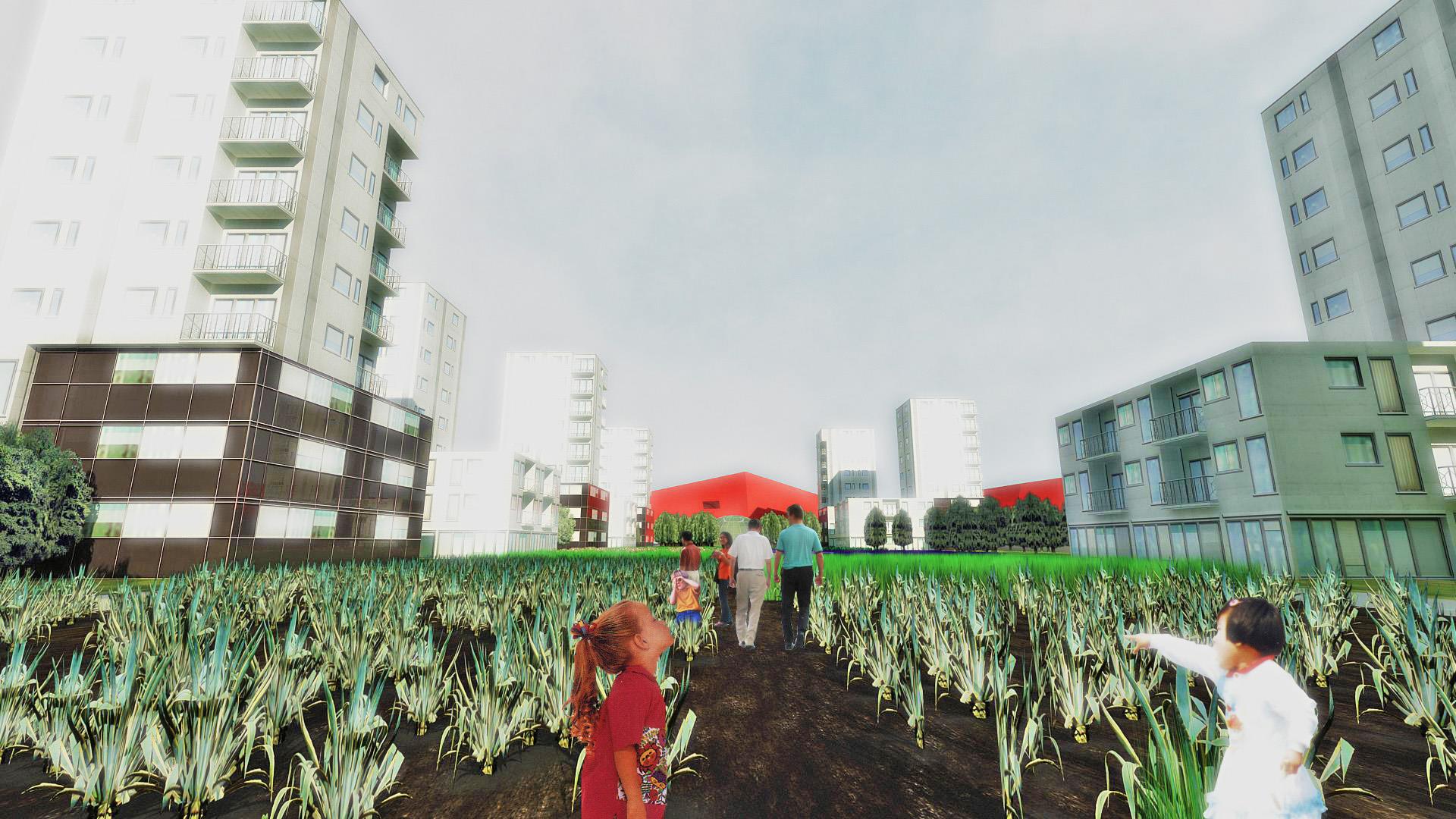 view of urban farm1 (Large).jpg