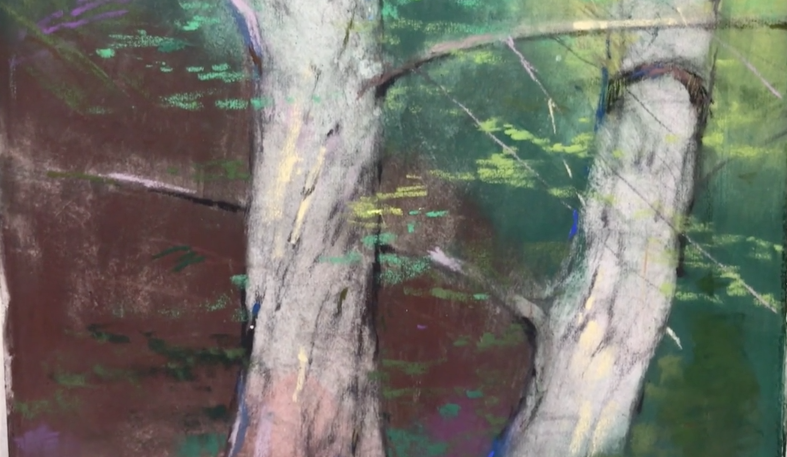 How Trees Grow