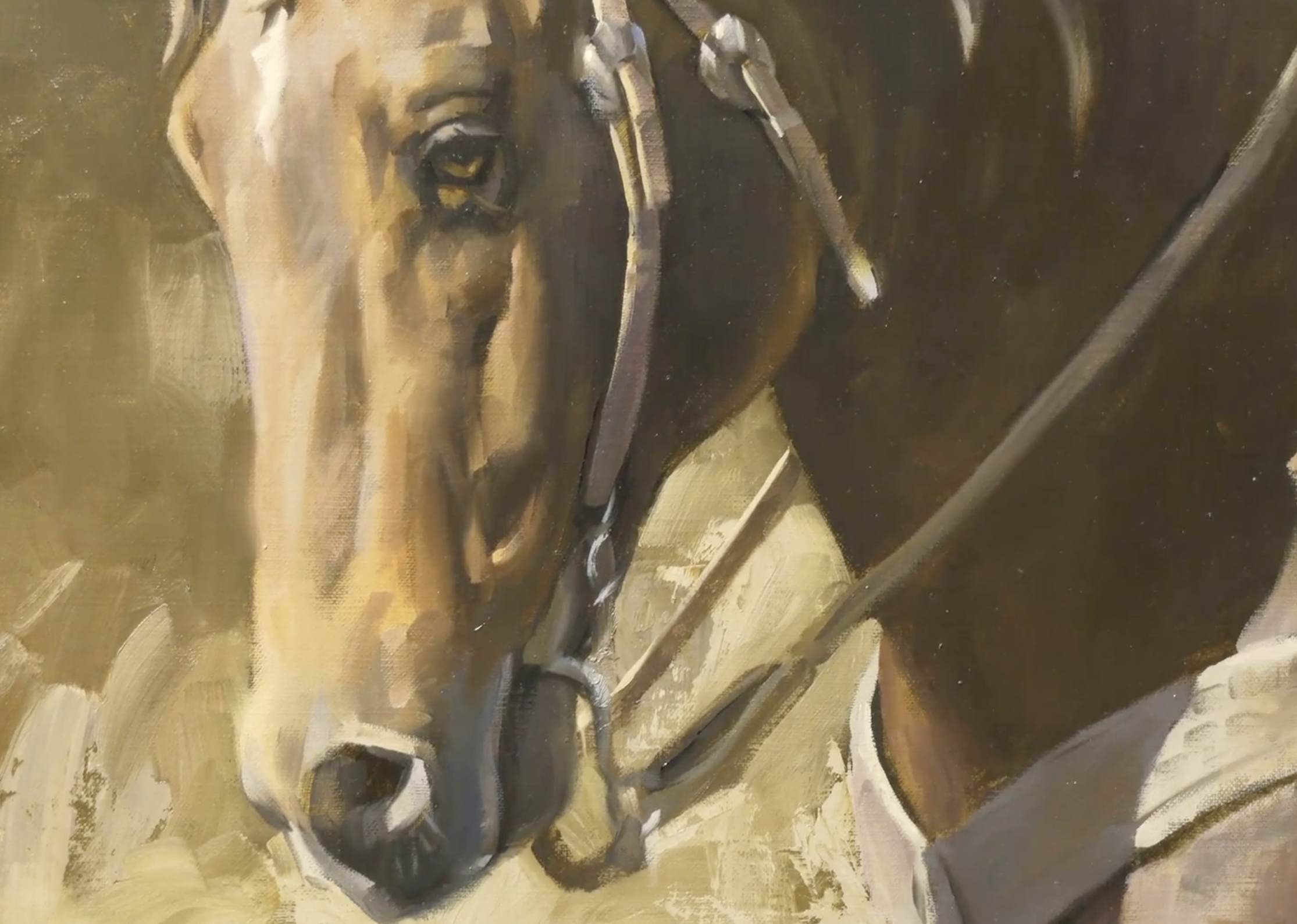 Abstraction To Help The Focal Point