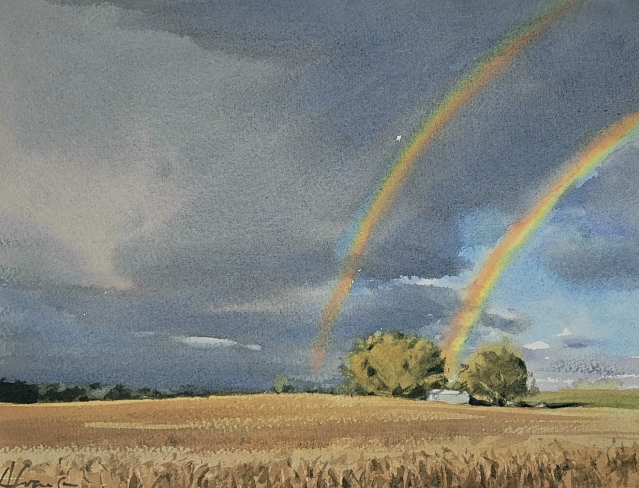 Painting Rainbows