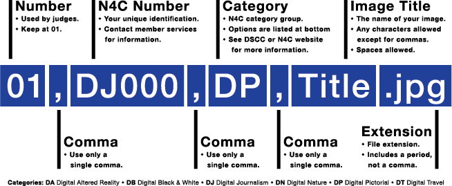 filenaming-outlined.png