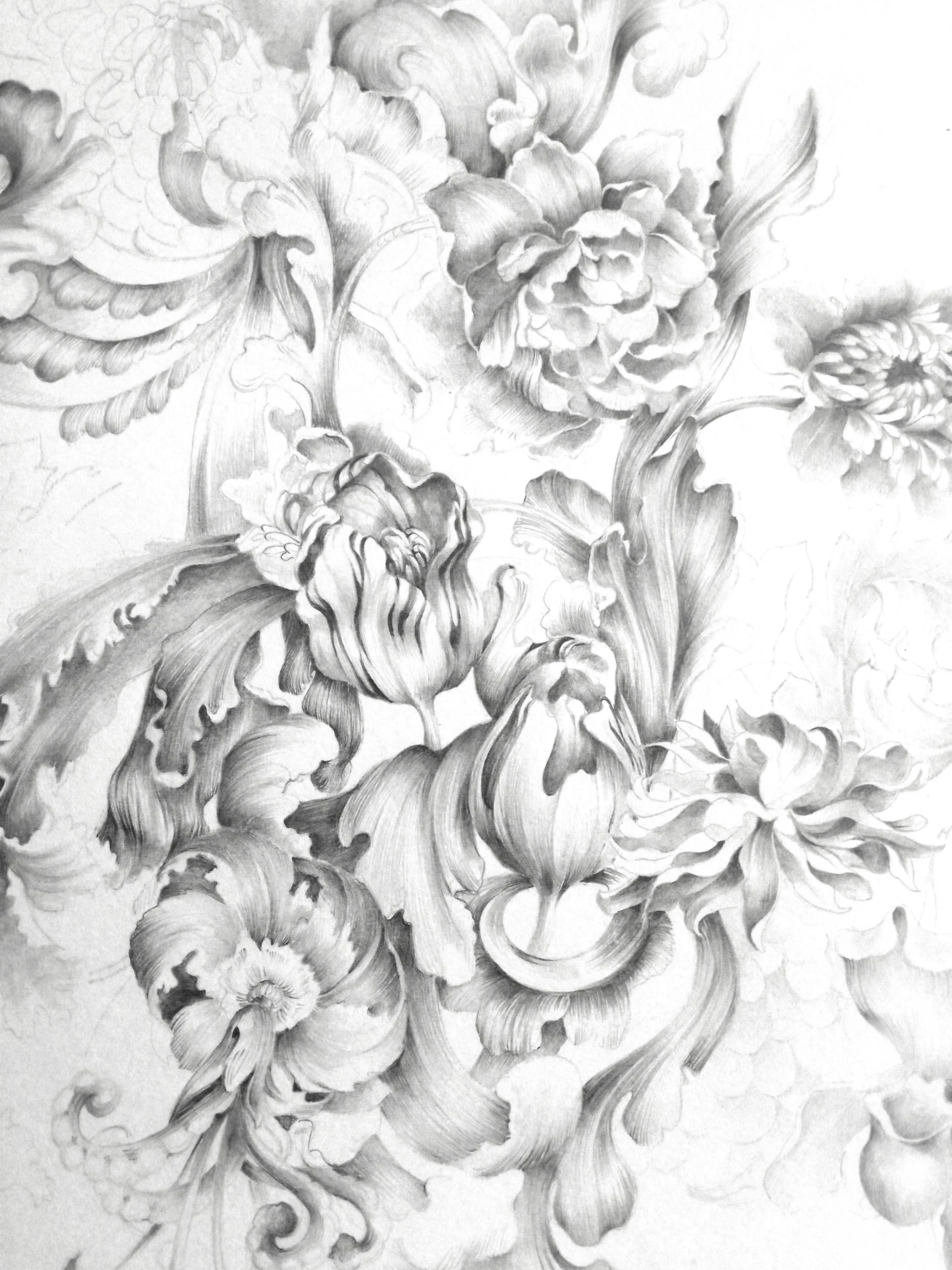 Detailed pencil drawing of various large, blooming flowers with intricate shading and curved leaves.
