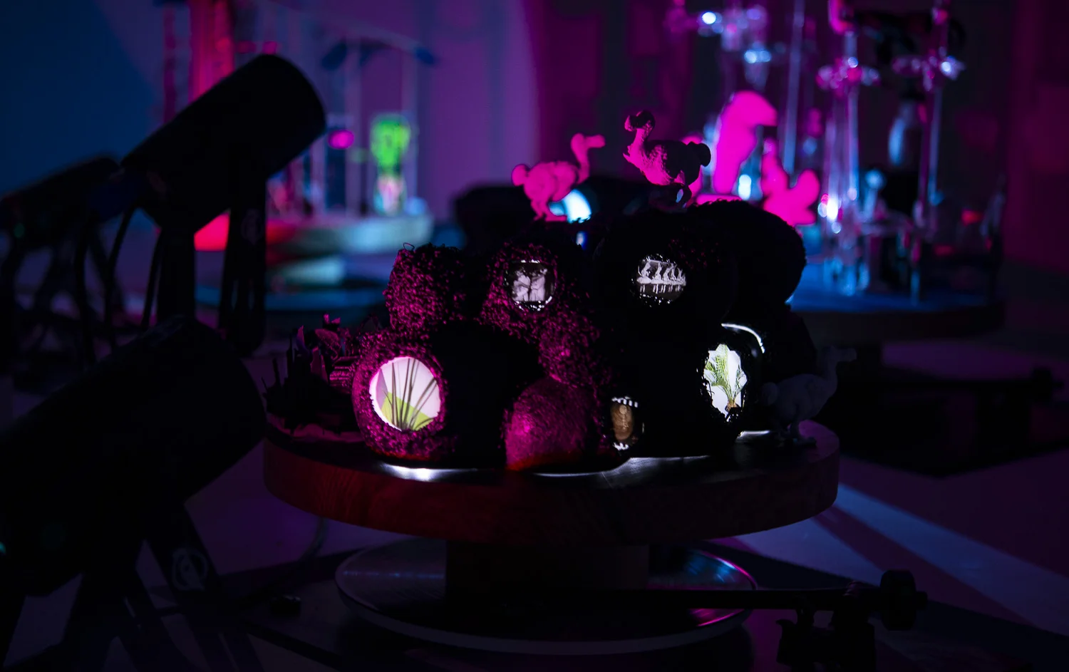 Nancy Krakaur Artist Bird Brain 20192.jpeg