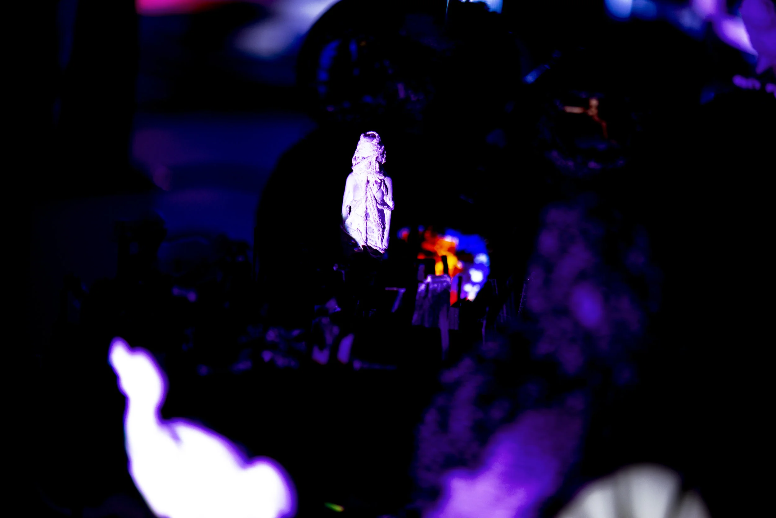 Nancy Krakaur Artist Bird Brain 20193.jpg