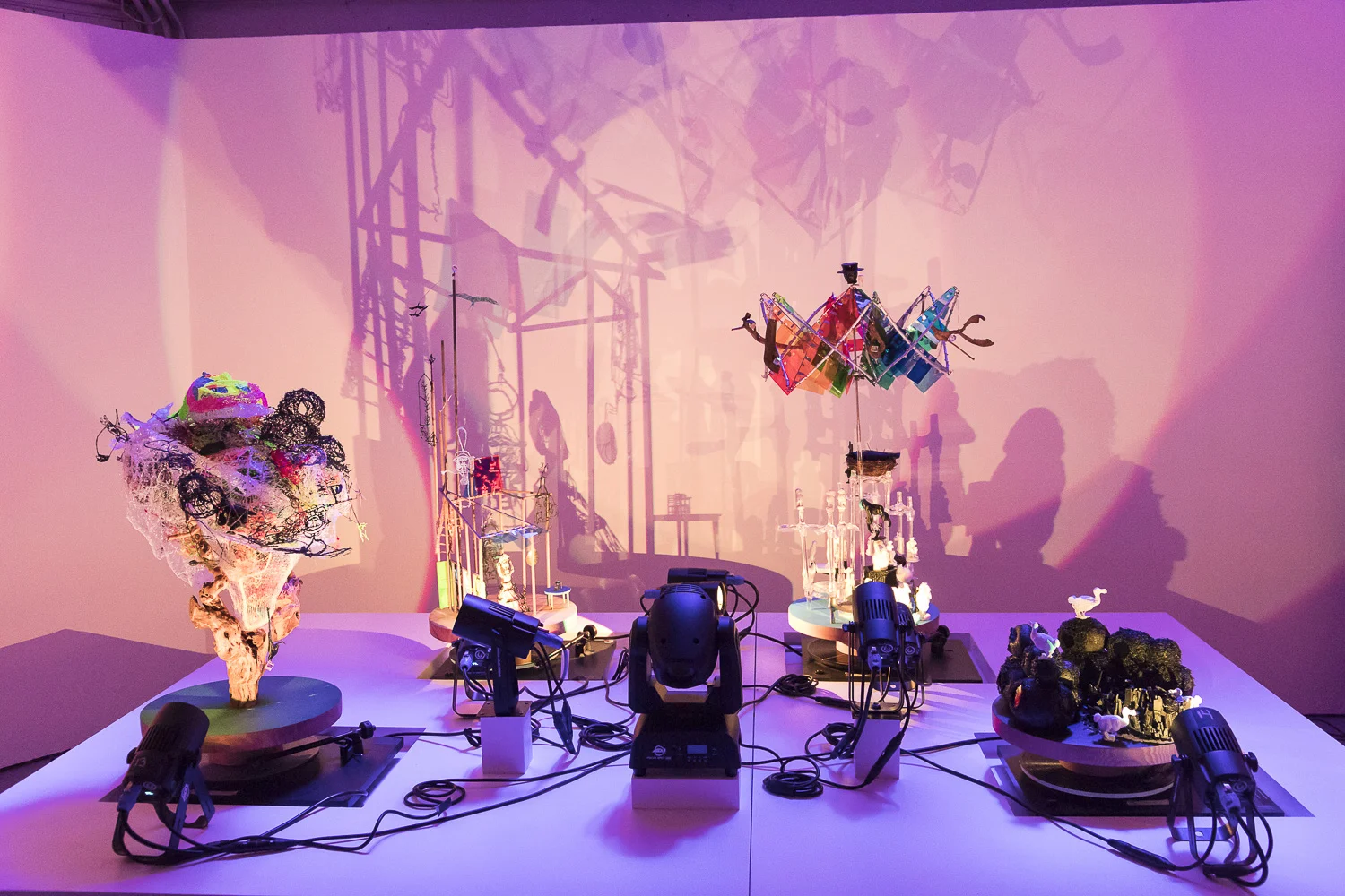 Nancy Krakaur Artist Bird Brain 20196.jpeg