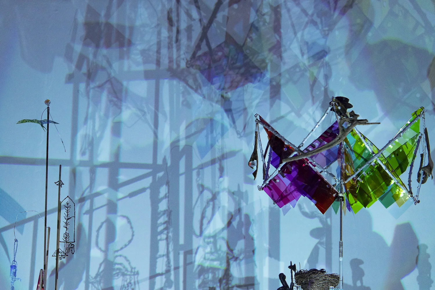 Nancy Krakaur Artist Bird Brain 201910.jpeg