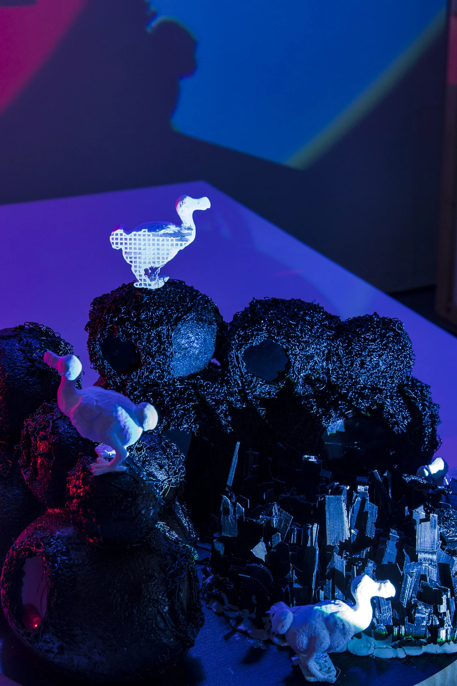 Nancy Krakaur Artist Bird Brain 201911.jpeg