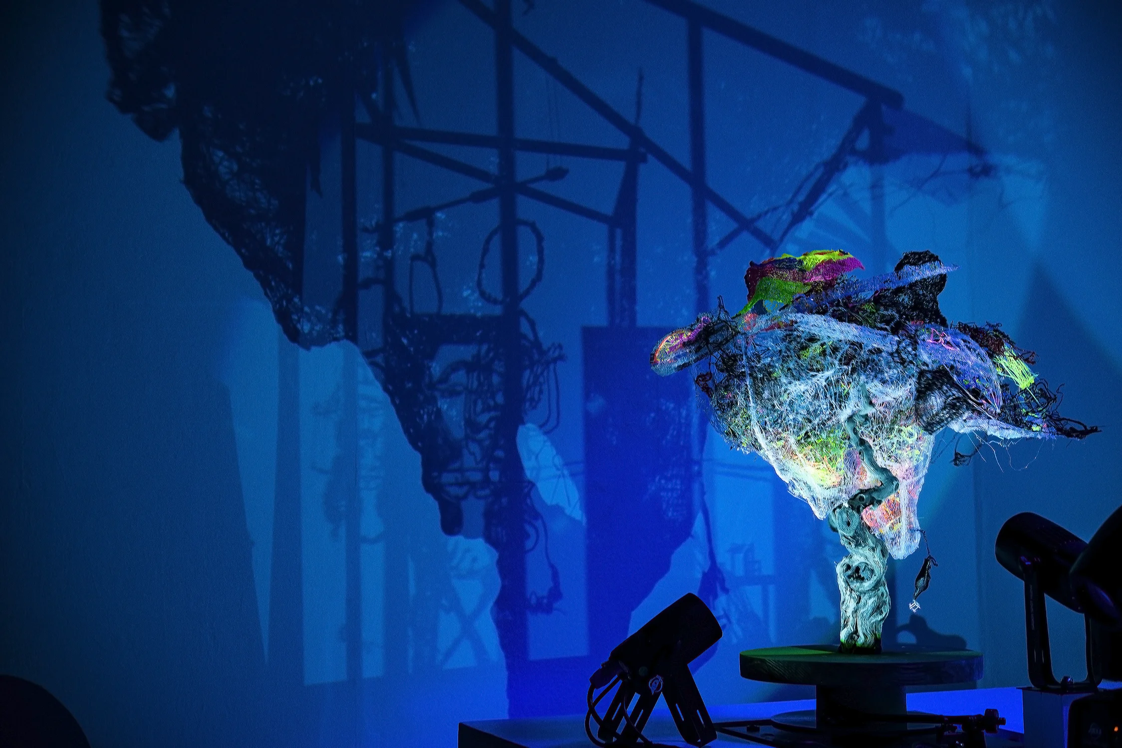 Nancy Krakaur Artist Bird Brain 201915.jpg