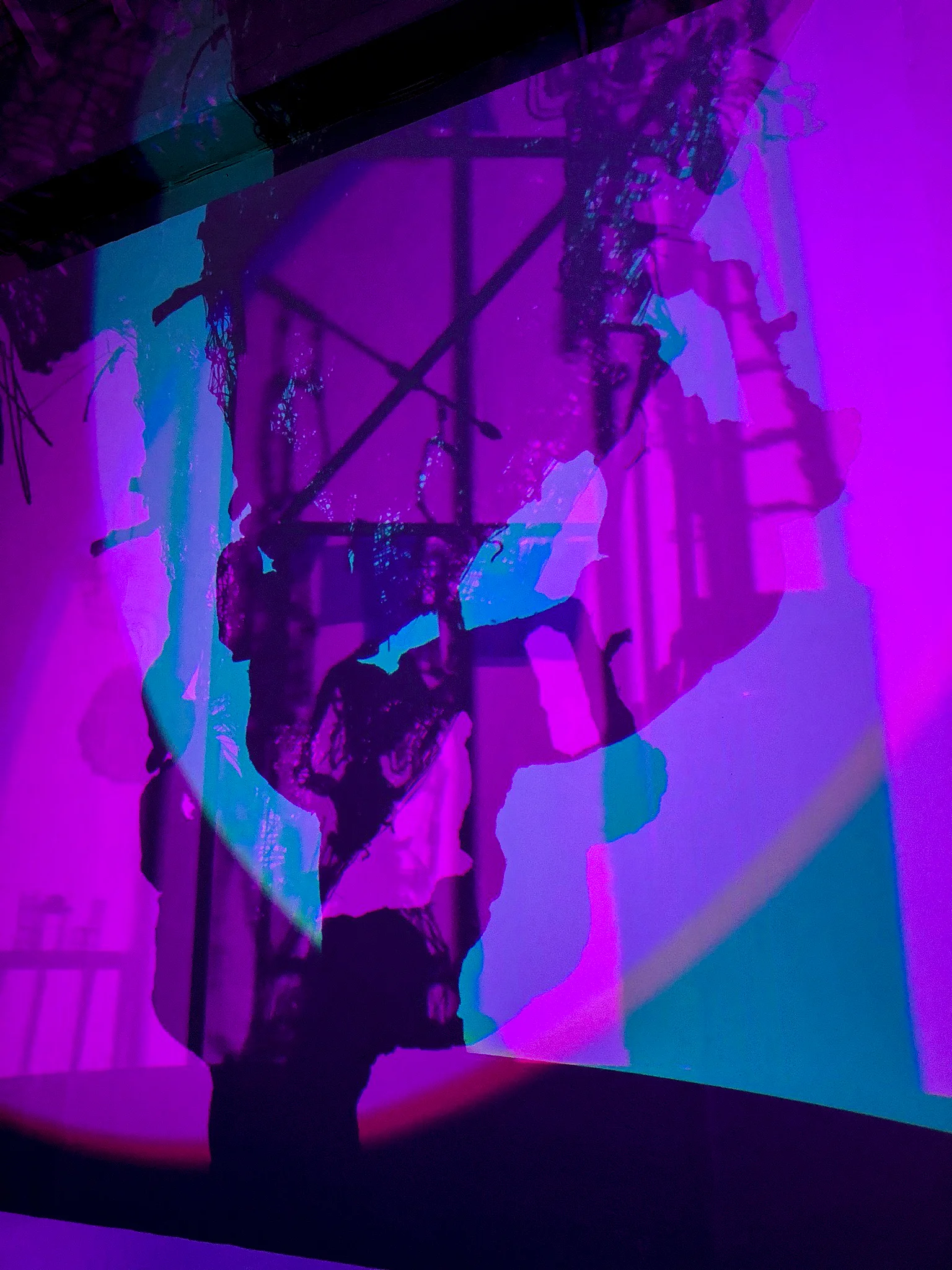 Nancy Krakaur Artist Bird Brain 201916.jpg