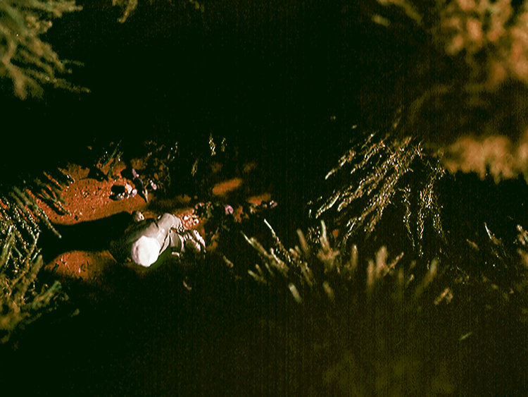 Nancy Krakaur Artist The Life you Save May be Your Own1.jpg