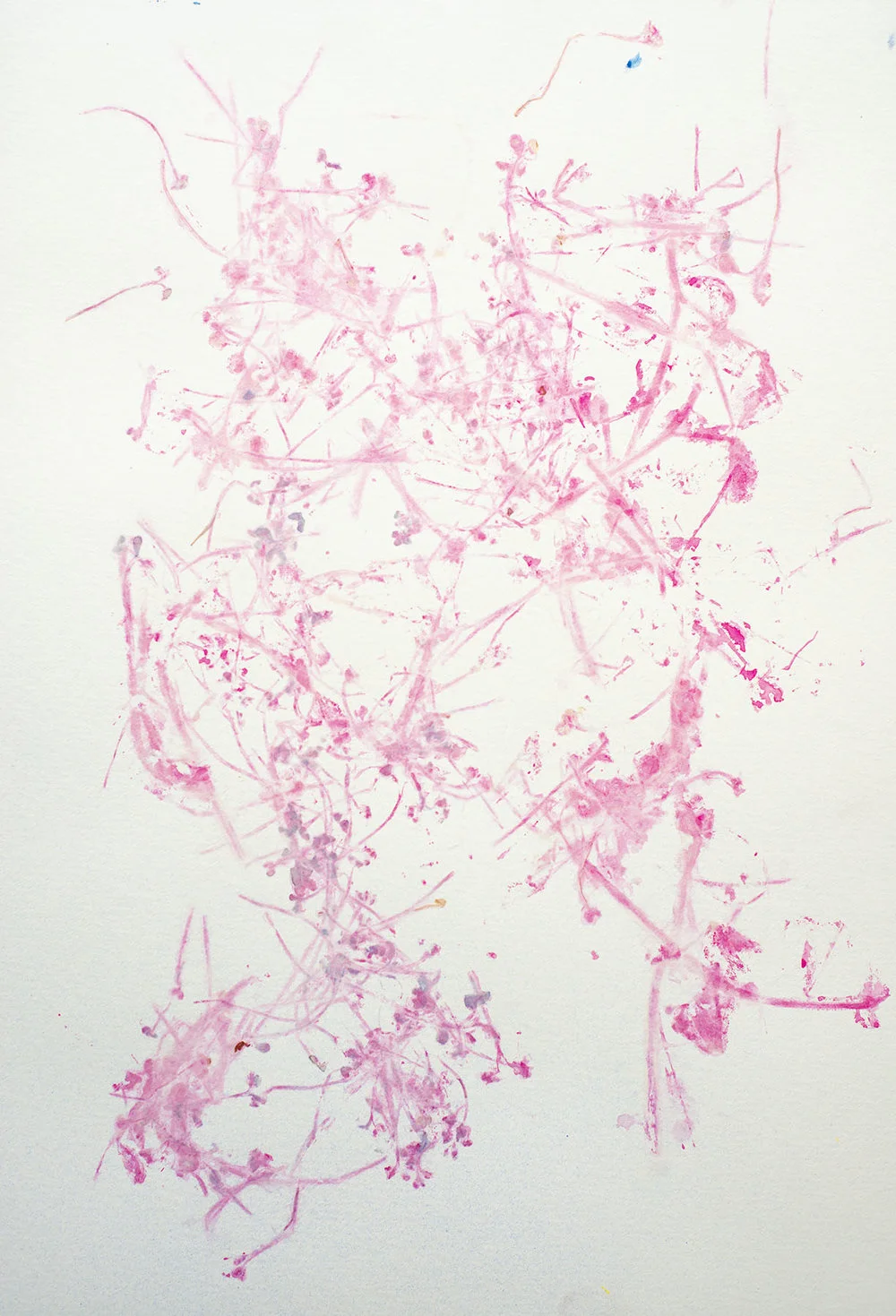 Nancy Krakaur Artist My Companion Species2.jpg