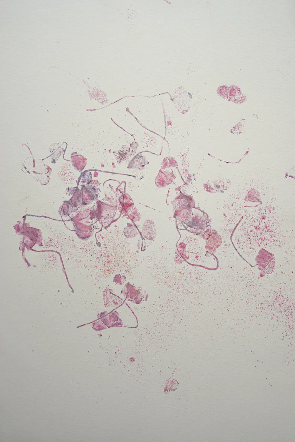 Nancy Krakaur Artist My Companion Species3.jpg