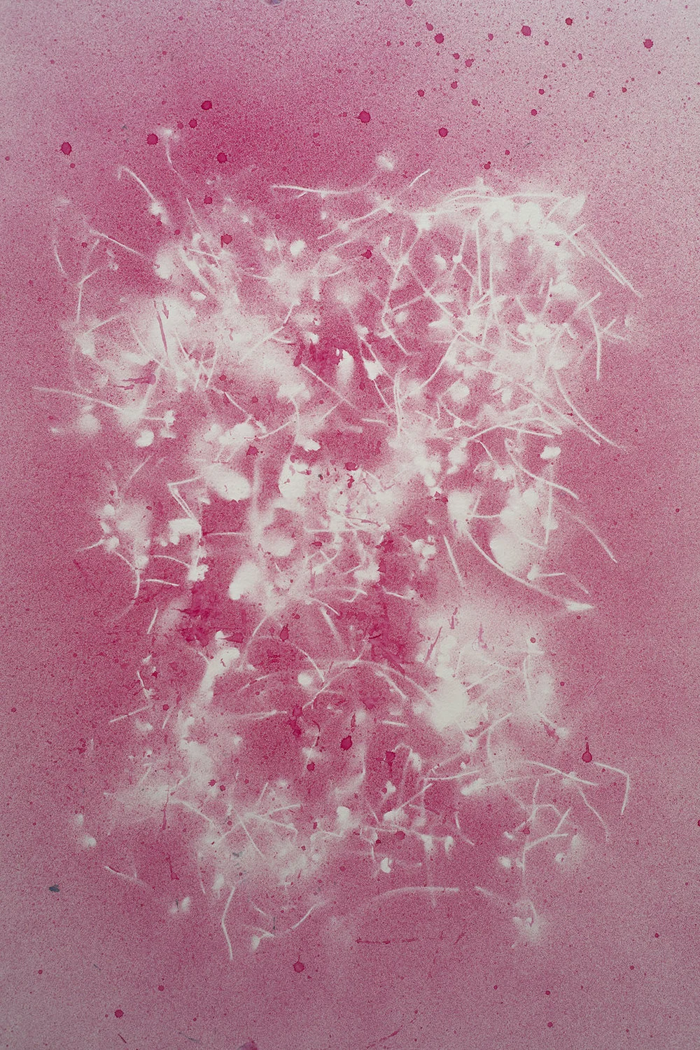 Nancy Krakaur Artist My Companion Species7.jpg