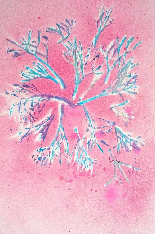 Nancy Krakaur Artist My Companion Species9.jpg