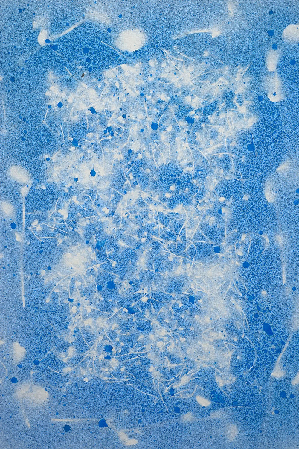 Nancy Krakaur Artist My Companion Species13.jpg