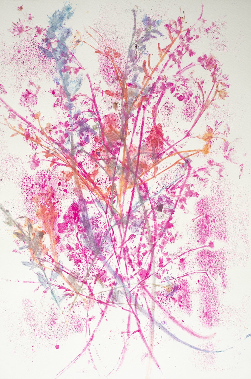 Nancy Krakaur Artist My Companion Species16.jpg