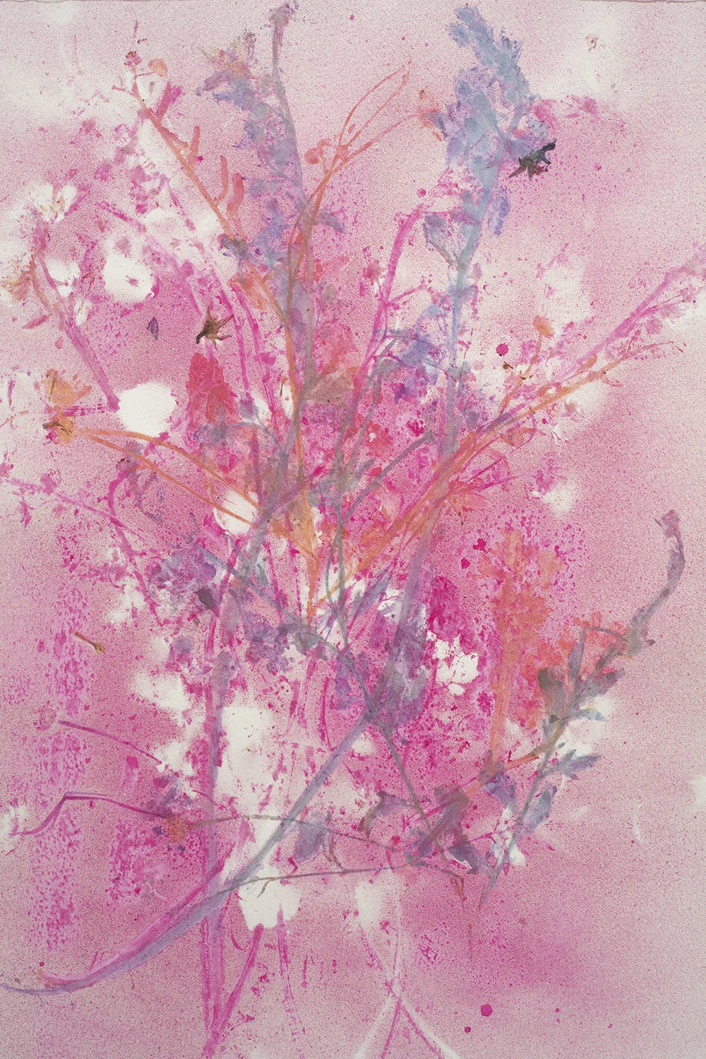 Nancy Krakaur Artist My Companion Species17.jpg