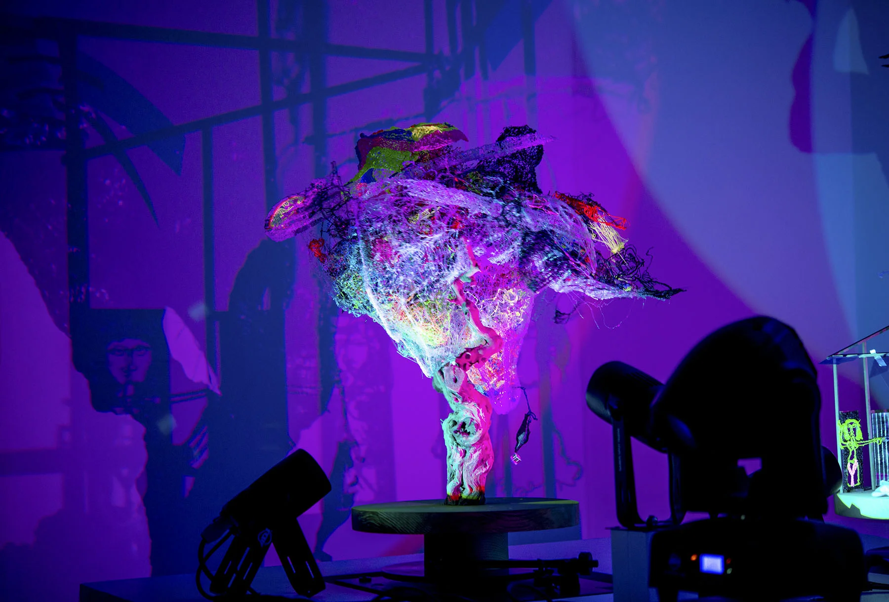 bird brain shadow 2.jpg