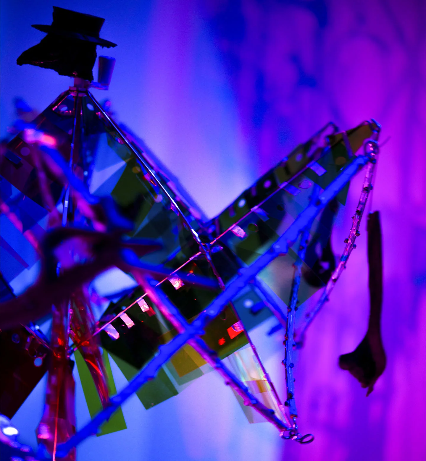 bird brain shadow 3.jpg