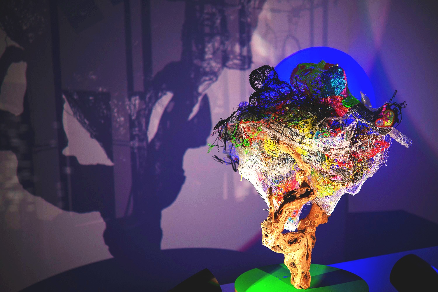 Nancy Krakaur Artist Bird Brain 20198.jpeg