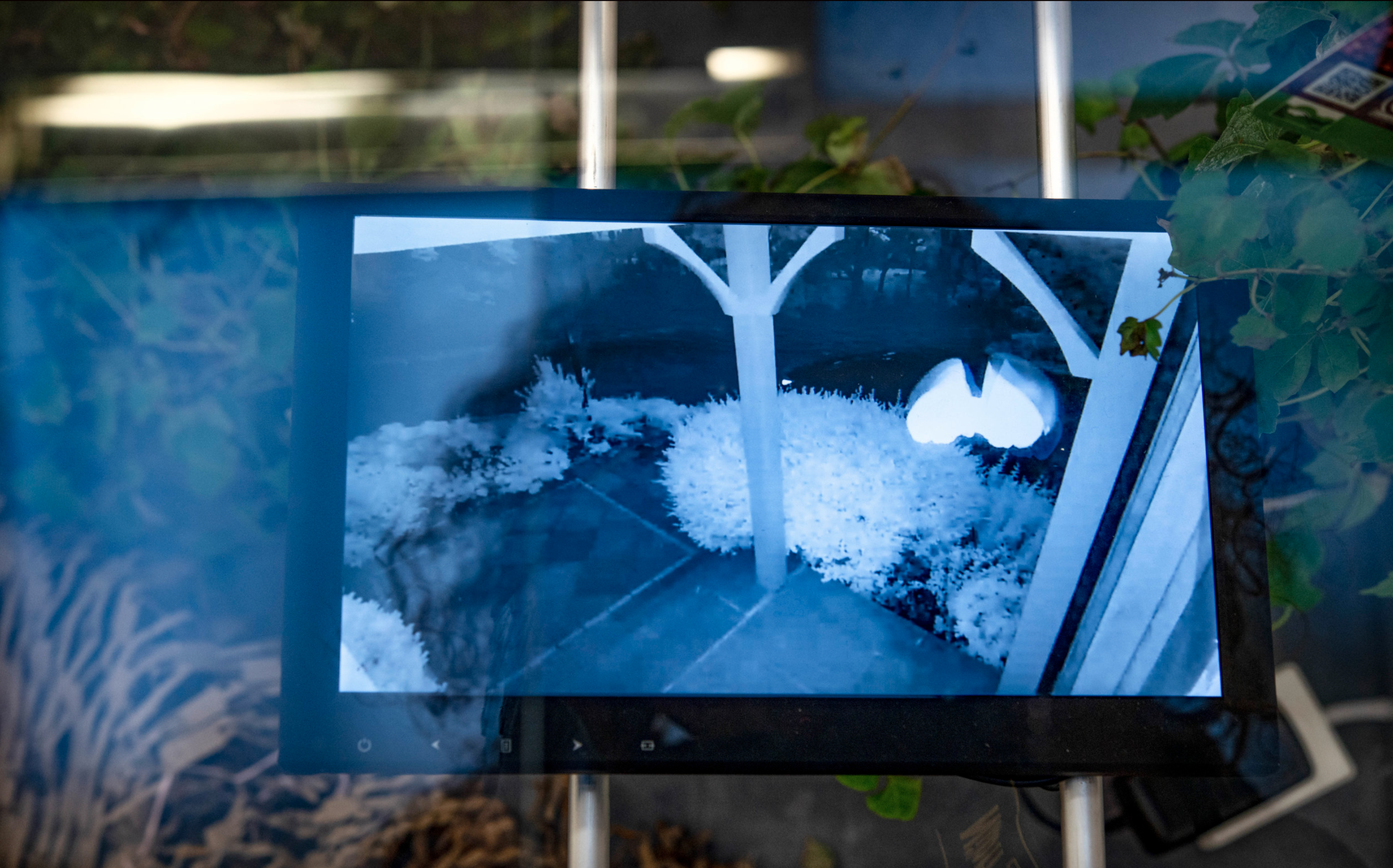 Screenshot 2019-09-23 at 17.58.35.png