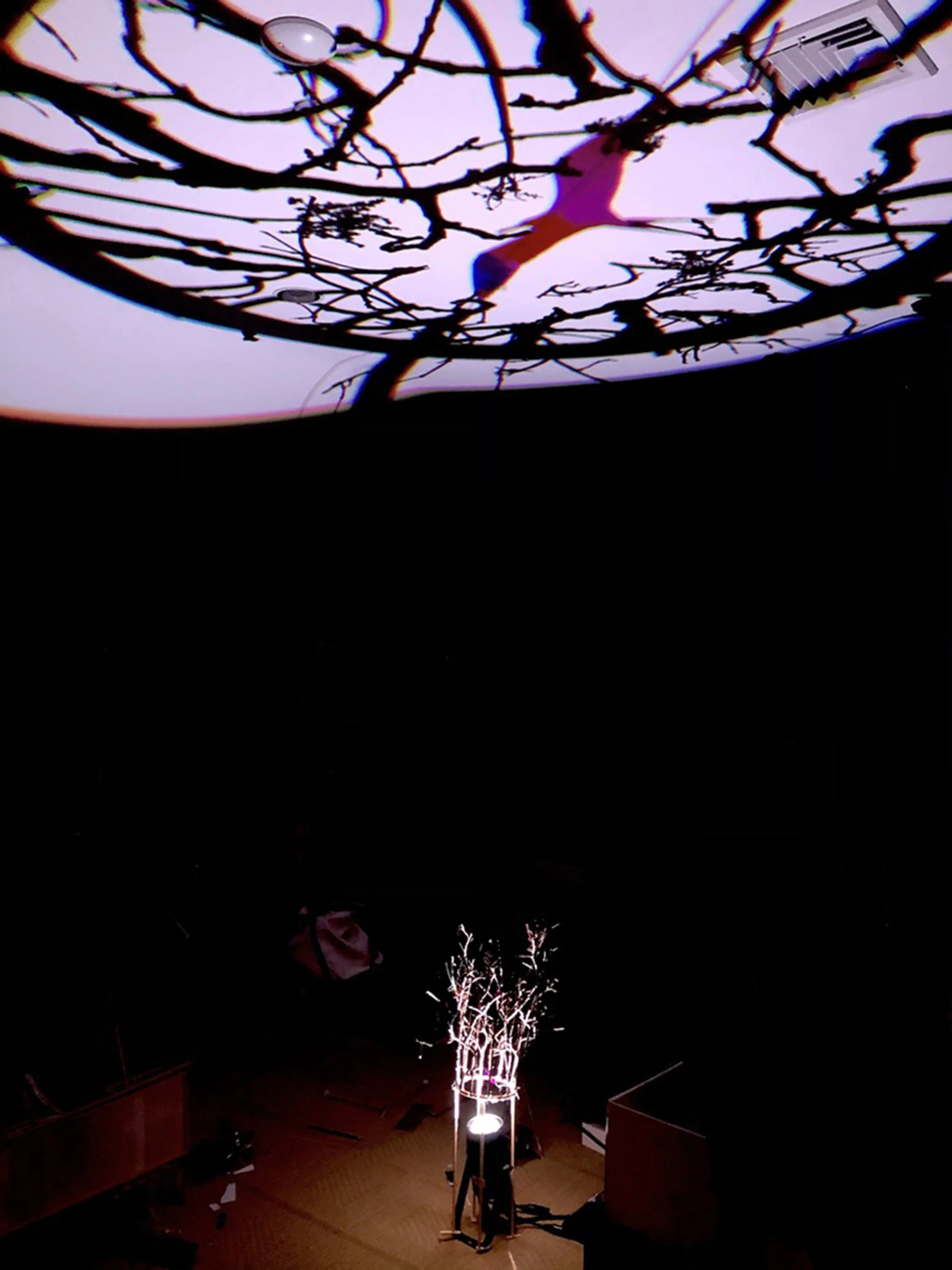 8 pound_Nancy Krakaur Artist Groove.jpg