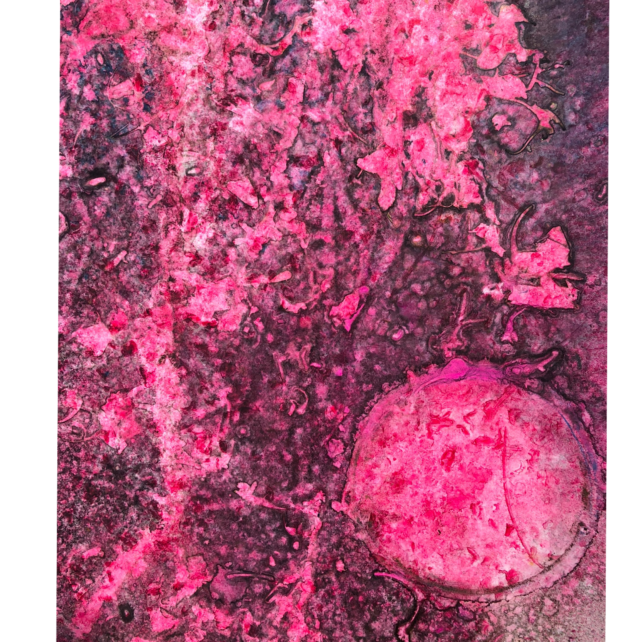 IMG_2025-02-25-183114.png