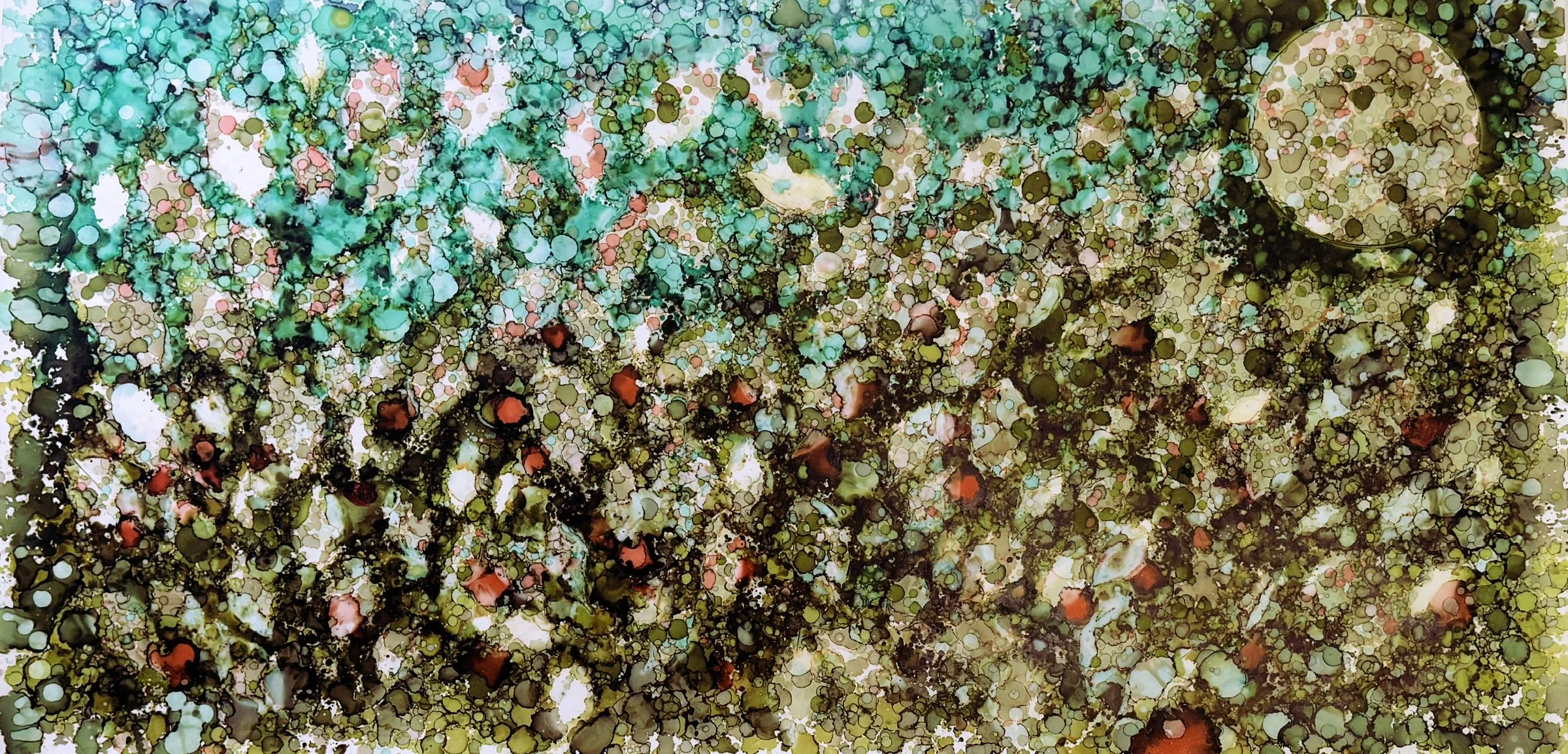 D100203B-F01C-4F8B-9921-F0620E784CCC_1_102_a copy.jpeg