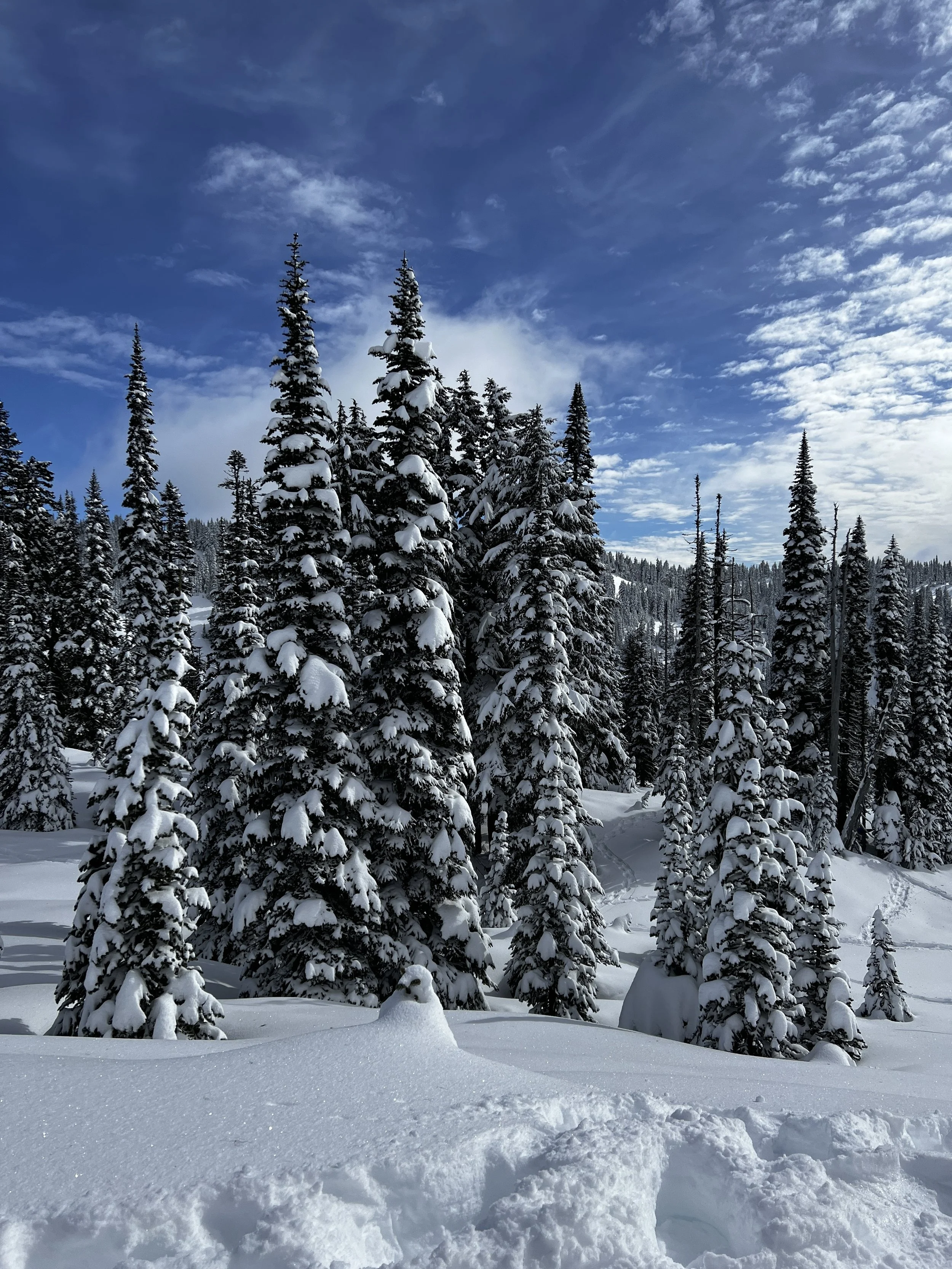 Mountainous Fails: Tales of Overconfidence, Altitude, and a Humbling Lack of Coordination