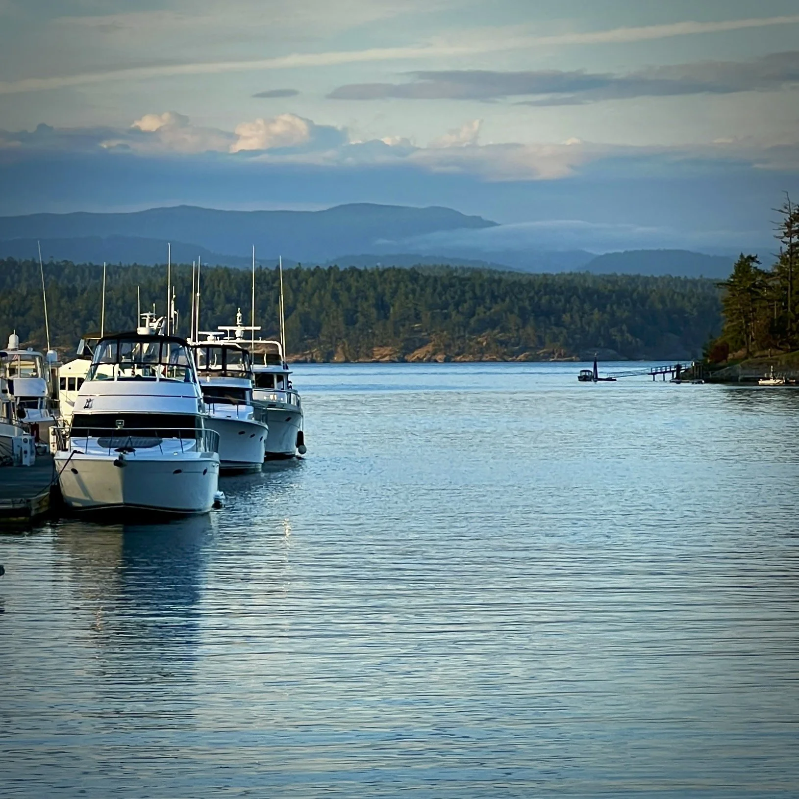 Discover the Magic of the San Juan Islands