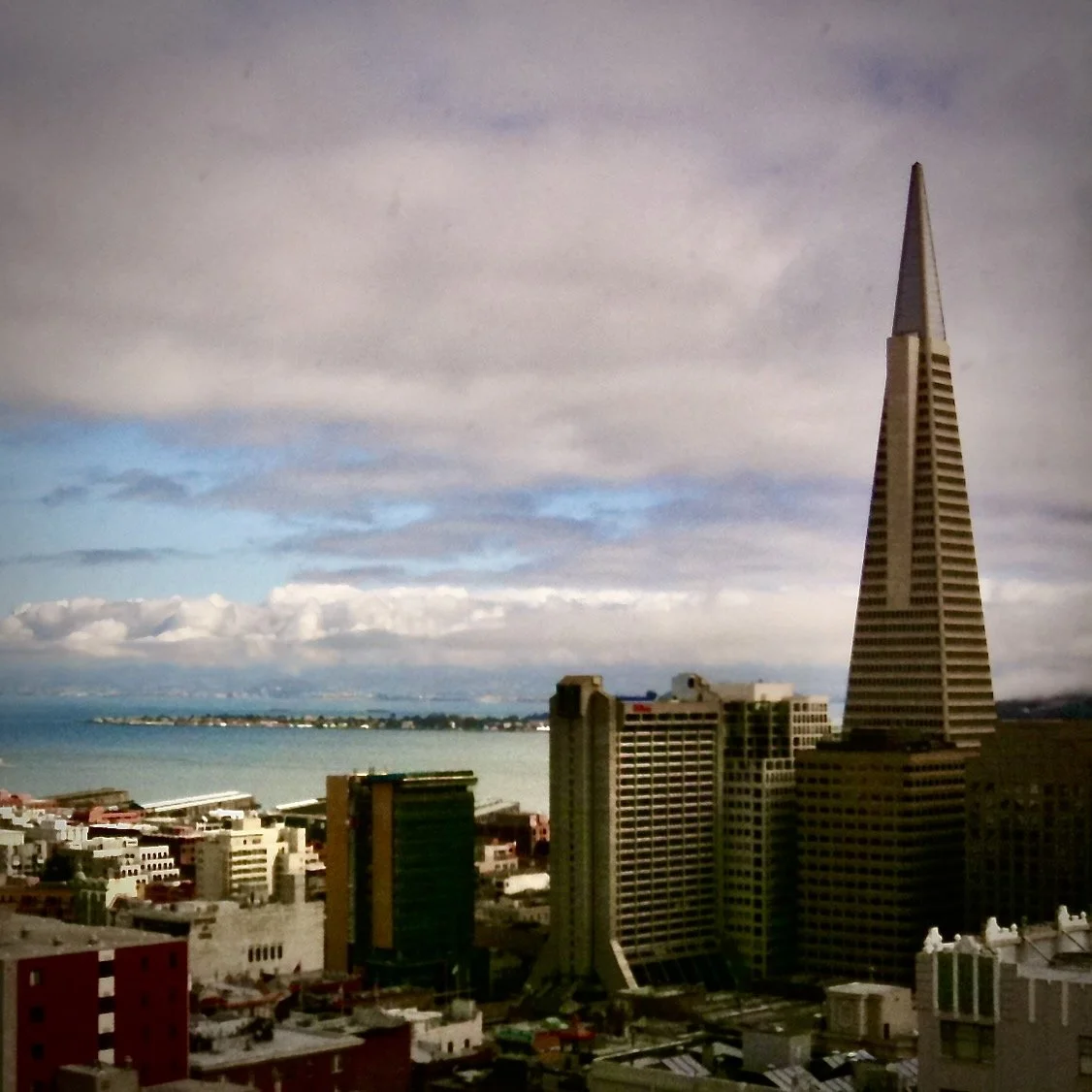 Saint Teresa of San Francisco: A Tale of a Demon Driver and the Woman Whose Compassion Saved Us