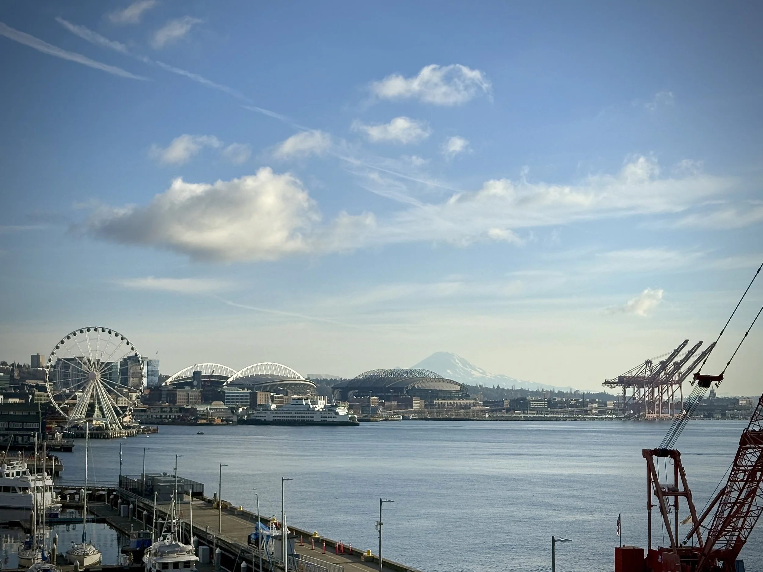 The Wild Beneath Our Feet