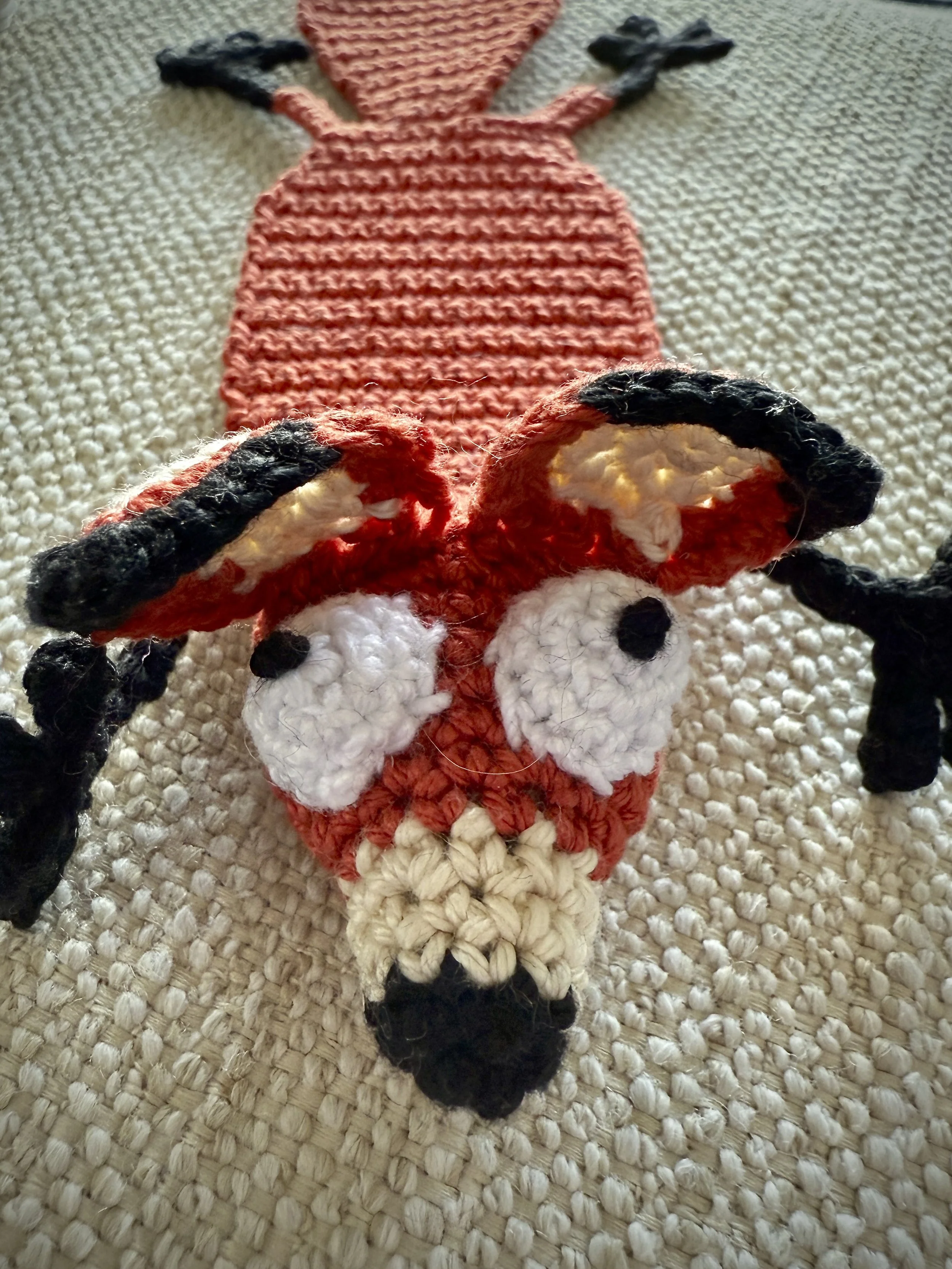 Don’t Judge a Fox by Its Socks