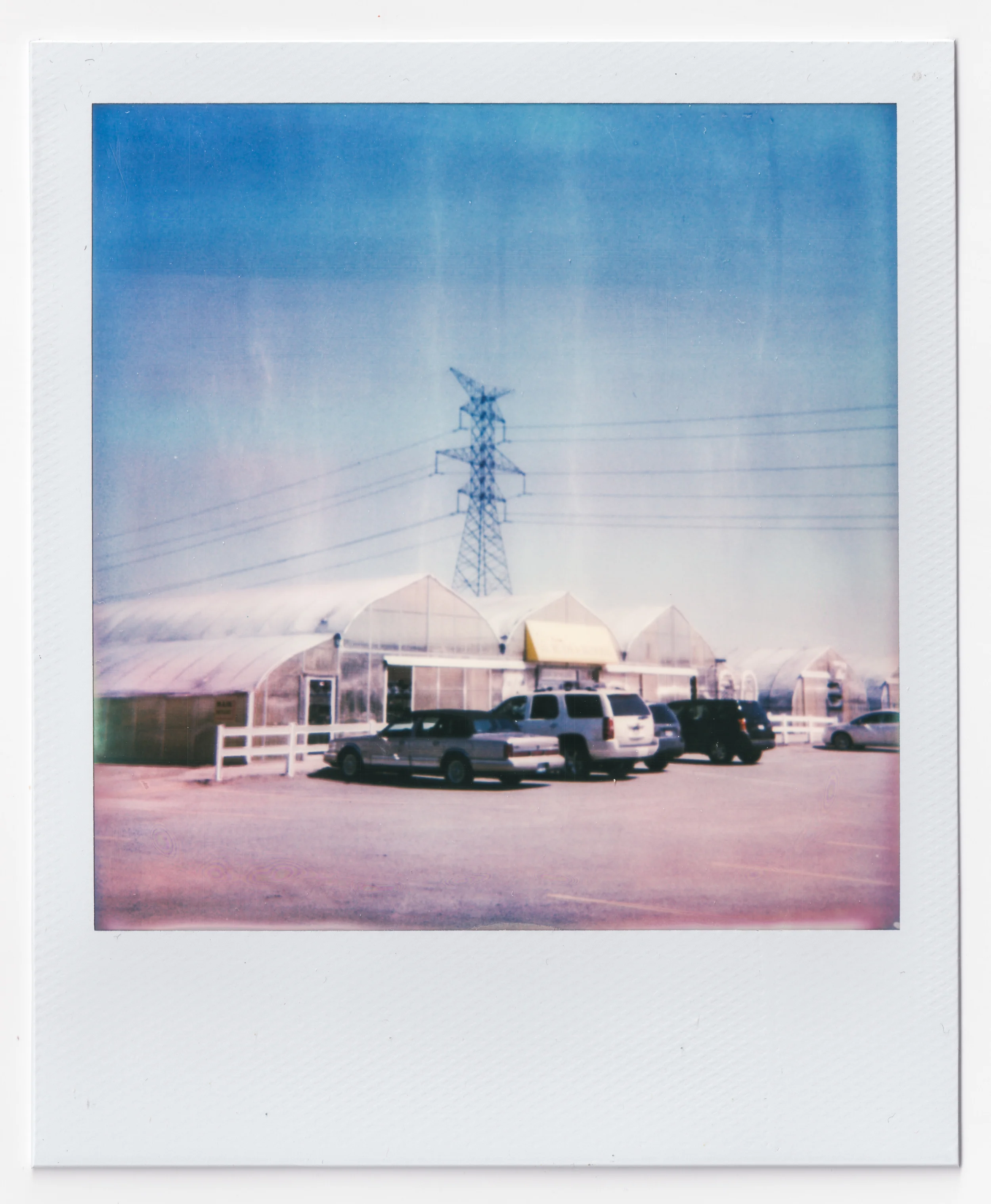 Scan 3-2.jpg