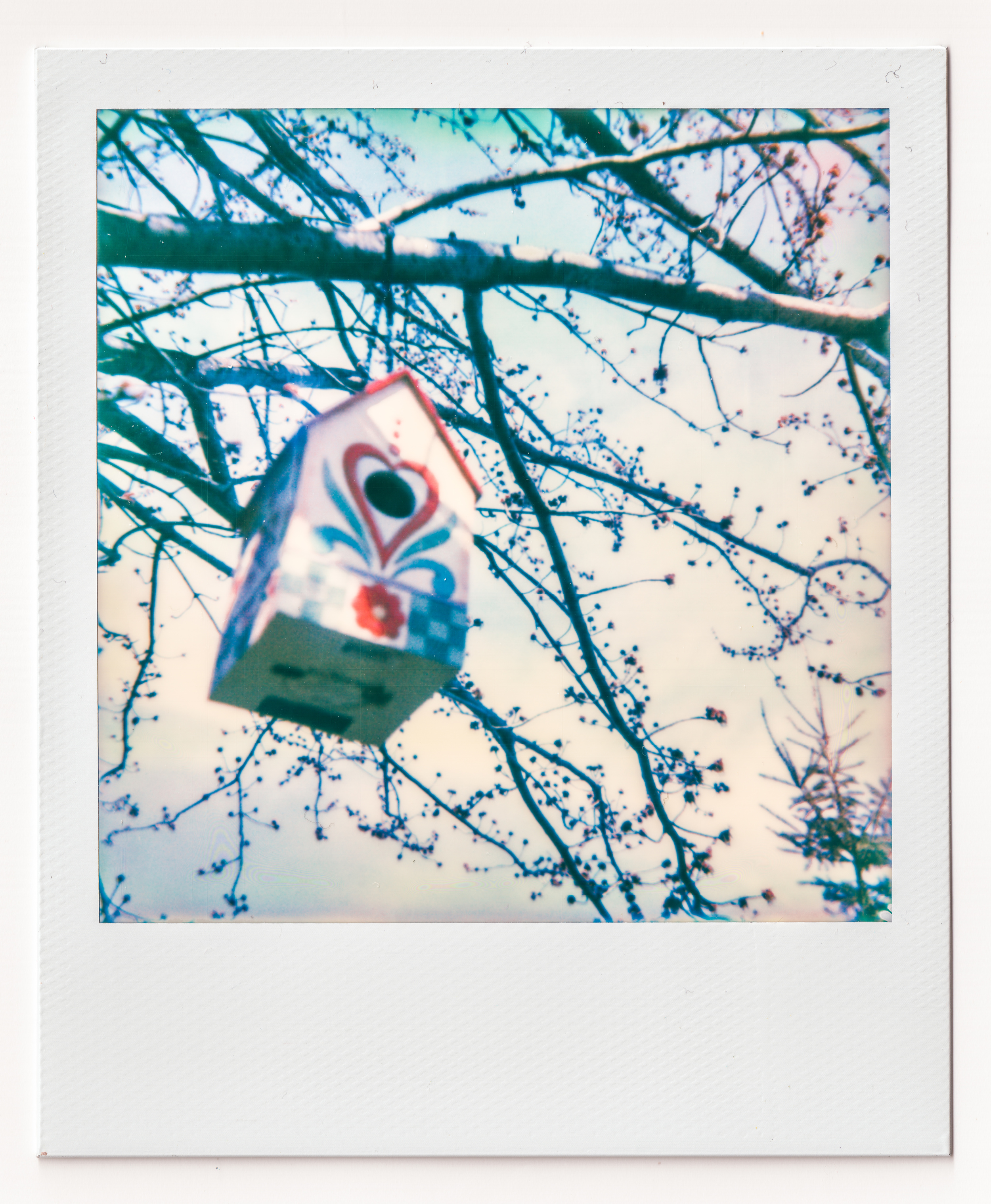 Scan copy.jpg