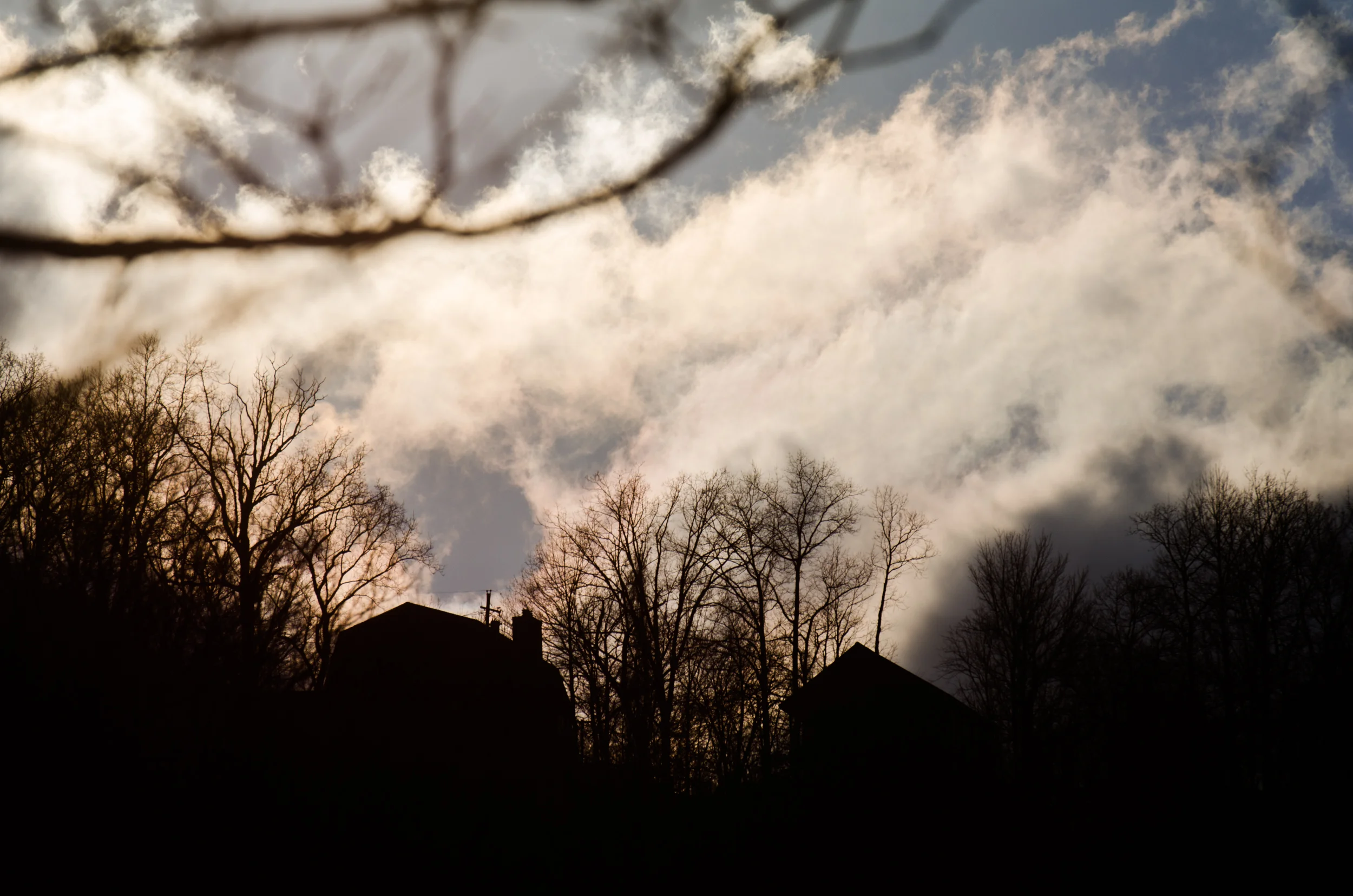 BCK_0416.jpg