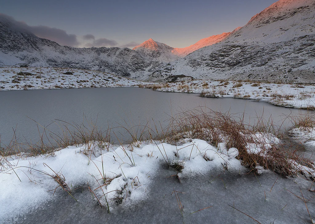 The Power of Love ... and Revenge