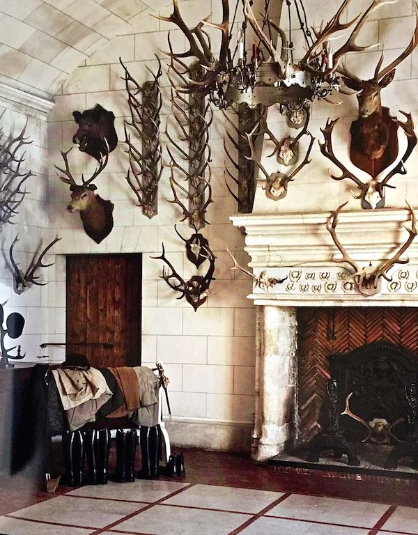 Traditional European trophy wall 