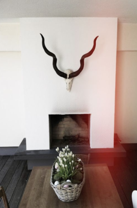 The gorgeous twirl of these horns makes the room 