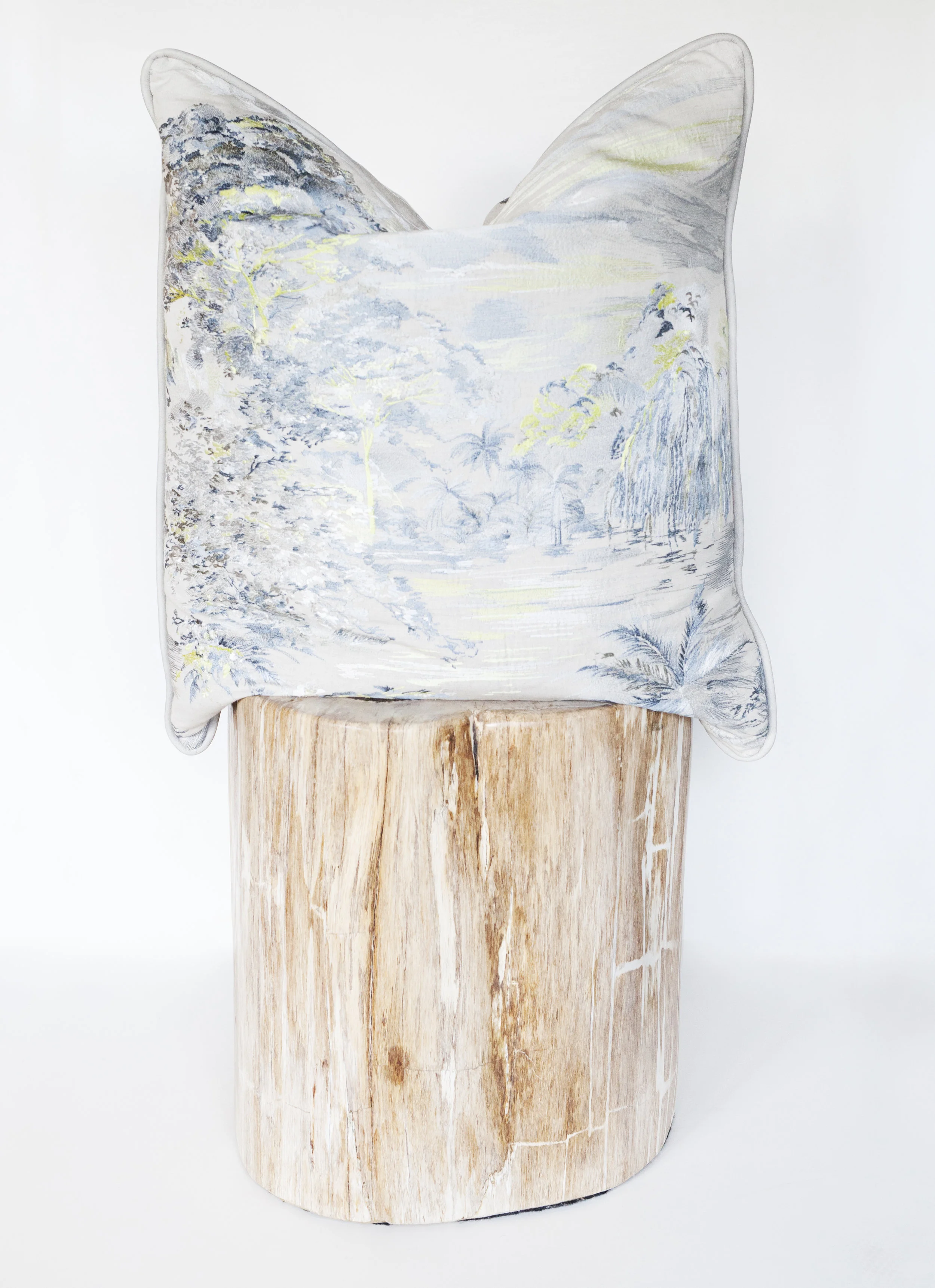 Modern Toile Pillows