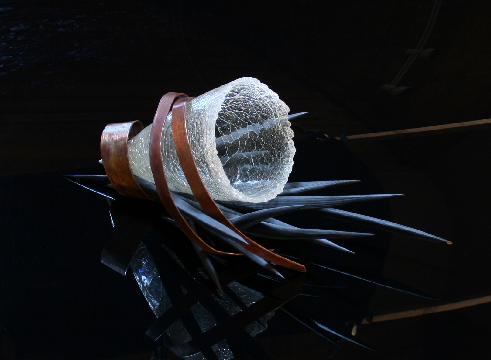 cropped image 5.jpg