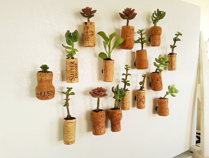 Succulent Cork Planters — A Charming Project