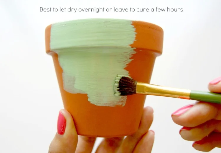 Chalkboard Paint Planter — A Charming Project