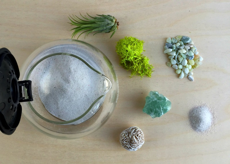 Plants and Coffee // Let's make a coffee pot Terrarium! — A Charming Project