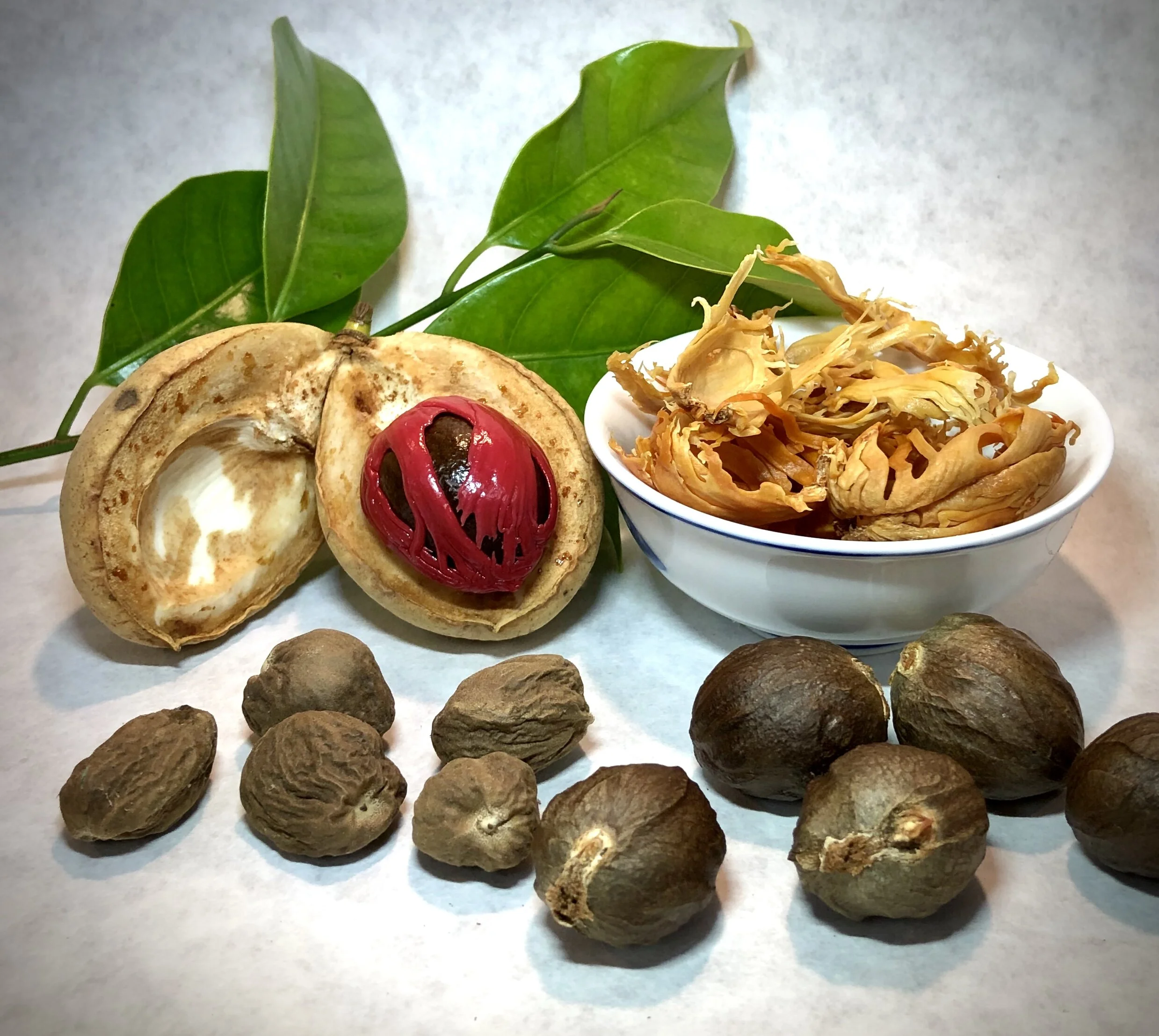Nutmeg.jpg
