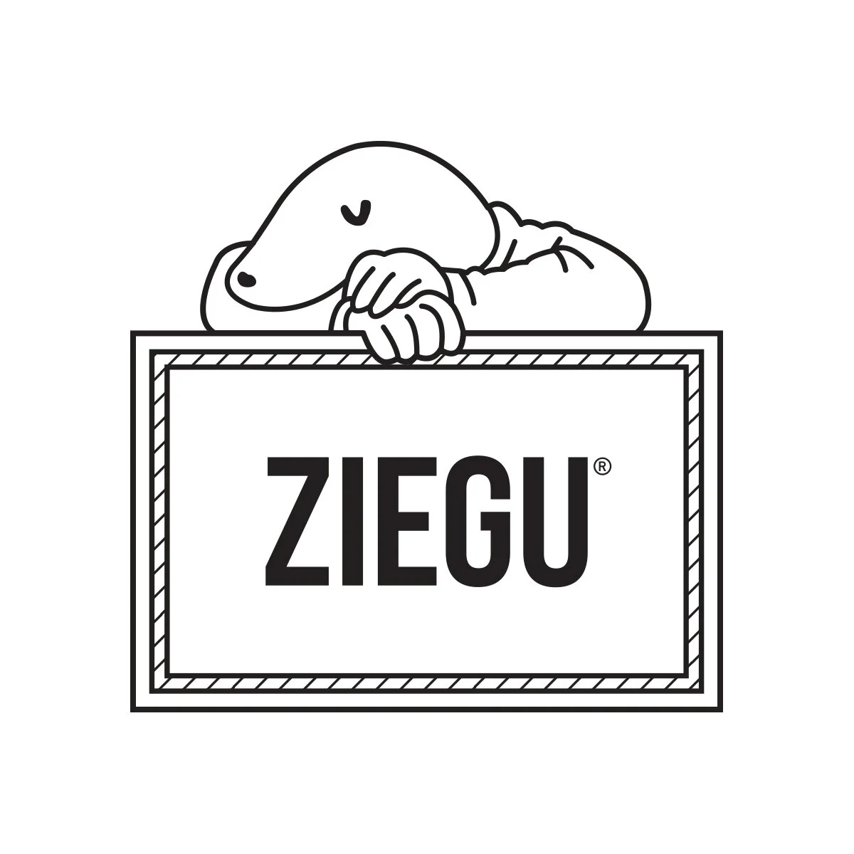  ZIEGU X MOONSUB 