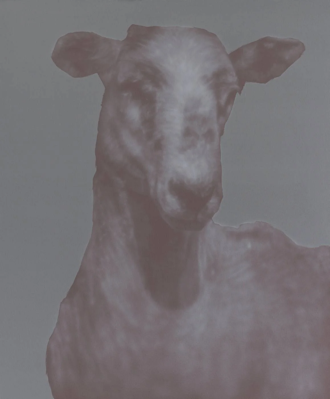 adam-Sakovy-SHBRN1.jpg